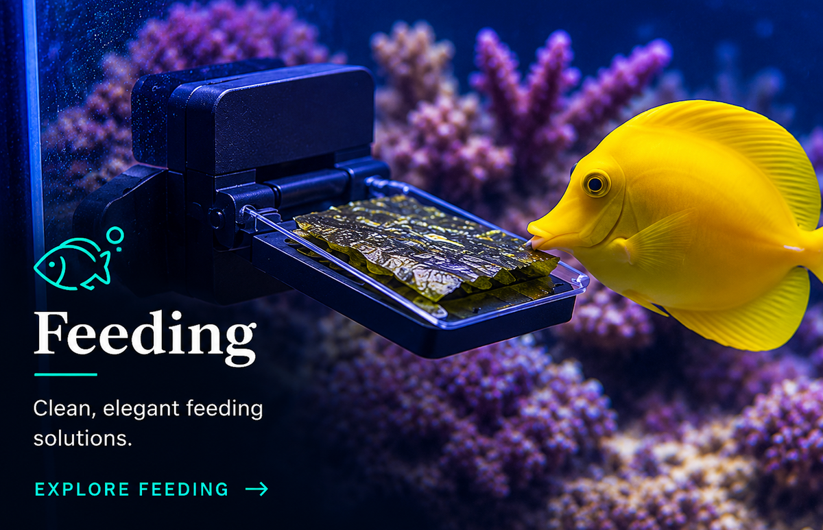 🐠 Feeding
