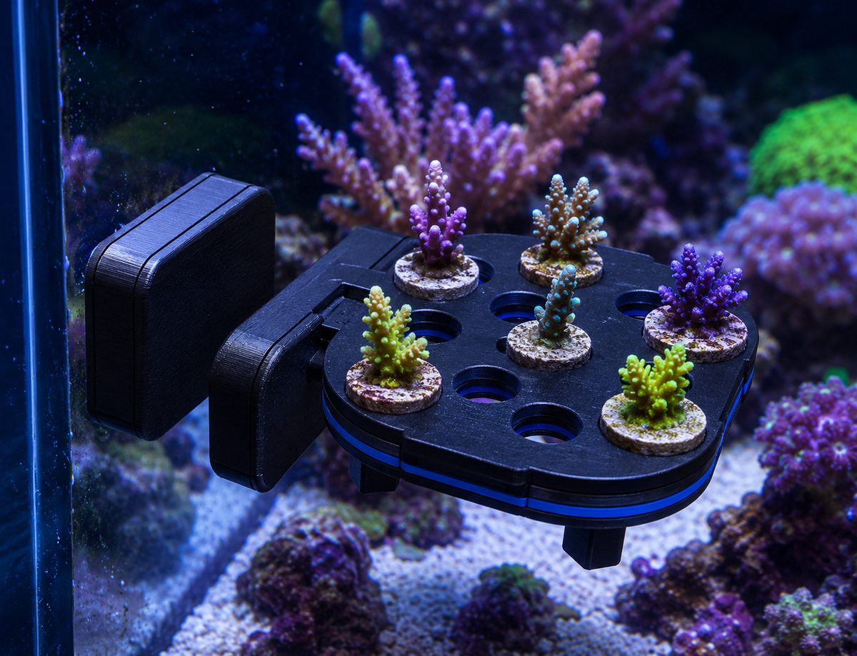 Magnetic Frag Rack